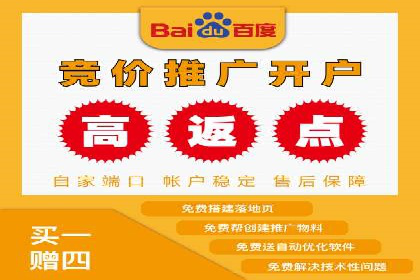 行业领先企业的SEM广告投放策略案例